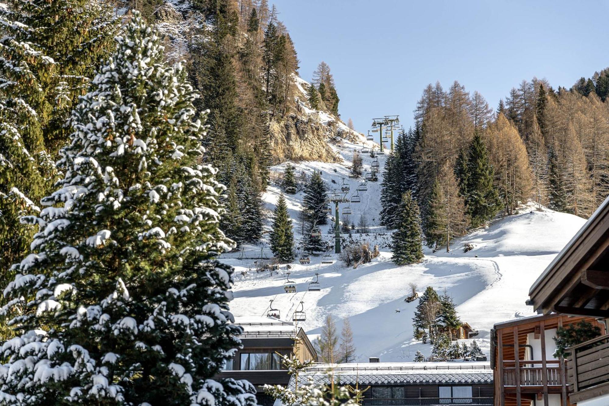 Chalet Elisabeth Dolomites Alpin & Charme Selva di Val Gardena Exterior photo
